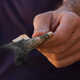 Image for article titled Economists Warn Americans That Money Withering To Ash In Their Hands Could Be Sign Of Recession